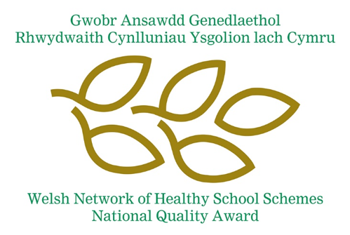 Welsh Network of Healthy School Schemes National Quality Award