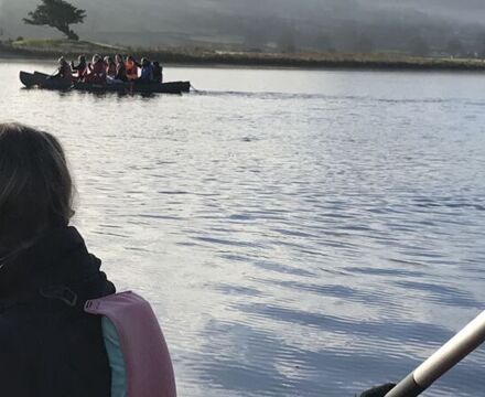 IMG 7073
